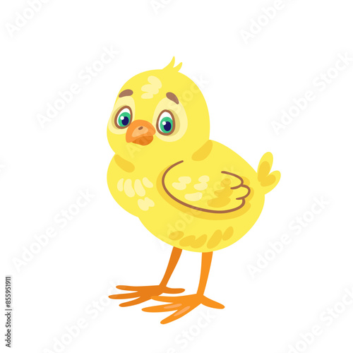 Funny little chicken. Isolated on white background. Vector flat illustration.