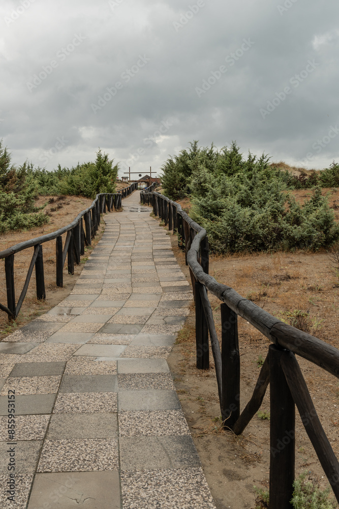 Fototapeta premium A stone pathway with wooden railings leading to the distant beach under a cloudy sky.
