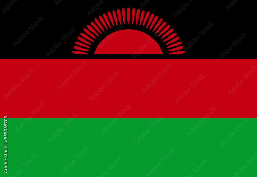 Obraz premium Malawi flag illustrator country flags