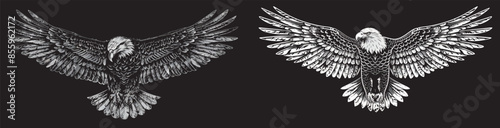 Modern illustration of a black and white engraved eagle