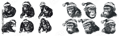 Vintage engraving isolated gorilla set dressed for Christmas. Ape ink santa suit sketch. Monkey kong background primate silhouette. Black and white hand-drawn modern image.