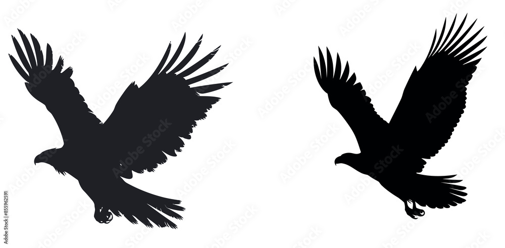 An eagle bird is drawn in black and white using paint. An eagle bird is drawn in black and white using paint.