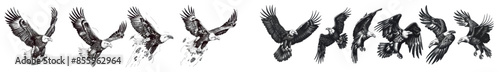 This is a vintage engrave isolated eagle set illustration ink sketch. Modern art of a wild falcon on a wild falcon background