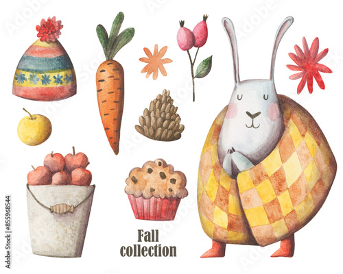 Cozy autumn elements hand painted set. Cold weather clipart collection