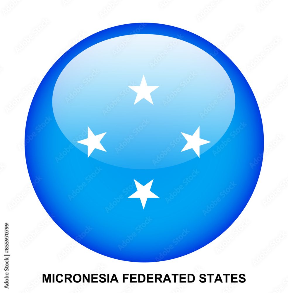 MICRONESIA FEDERATED STATES flag button on white background MICRONESIA FEDERATED STATES flag button on white background
