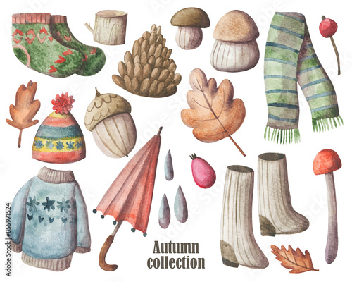 Cozy autumn elements hand painted set. Cold weather clipart collection