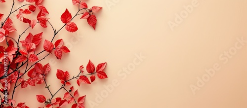 RUomposition of branches and red leavese for halloween on pastel background. Flat lay. Halloween concept. Copy space image. Place for adding text and design photo