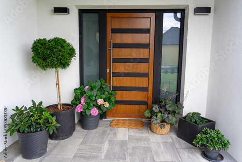Entrance of a modern house gray wooden door white walls and flower pots with plants