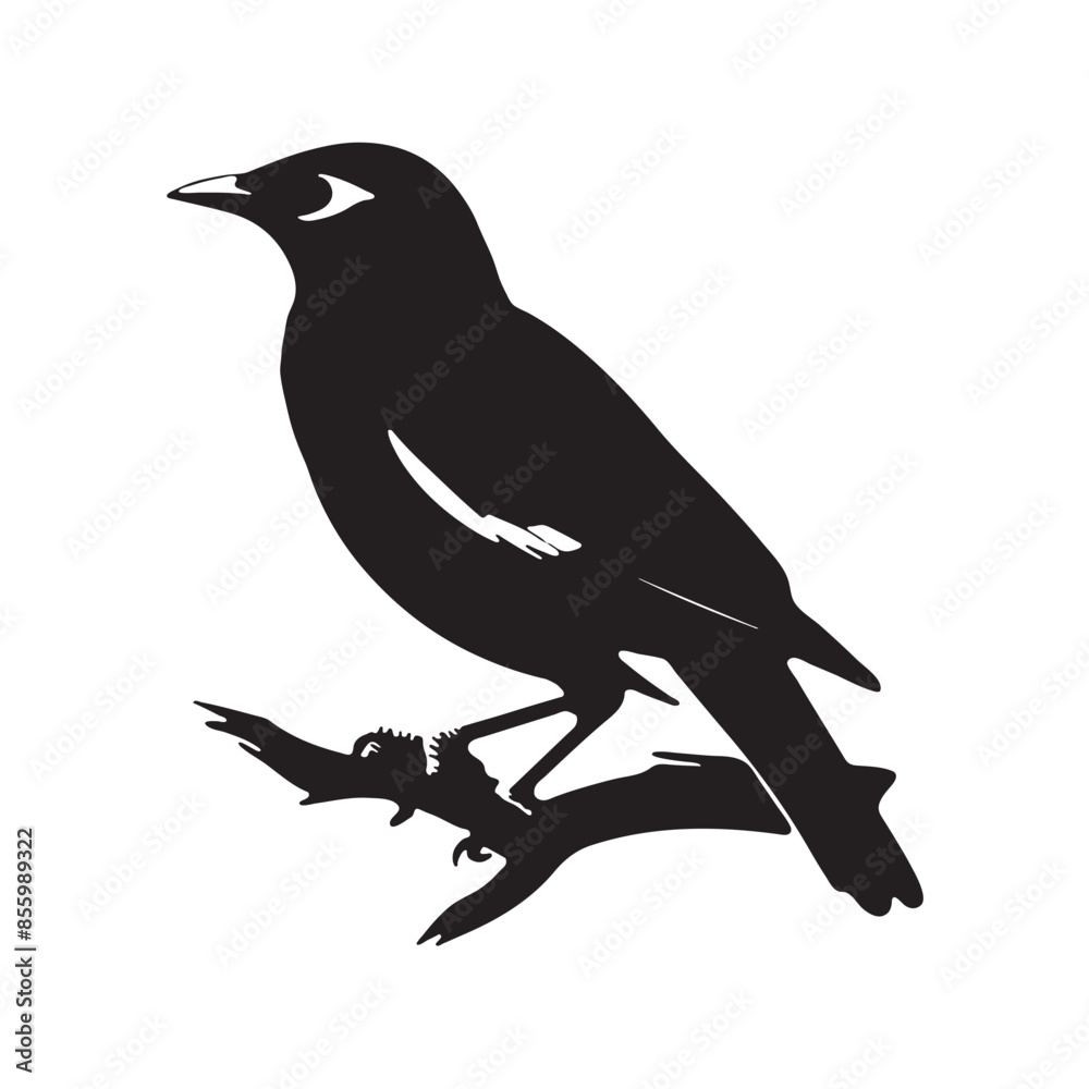 Obraz premium Bird On Branch Silhouette Vector Art illustration