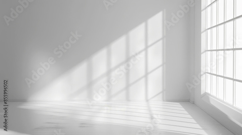 white wall of room with white background