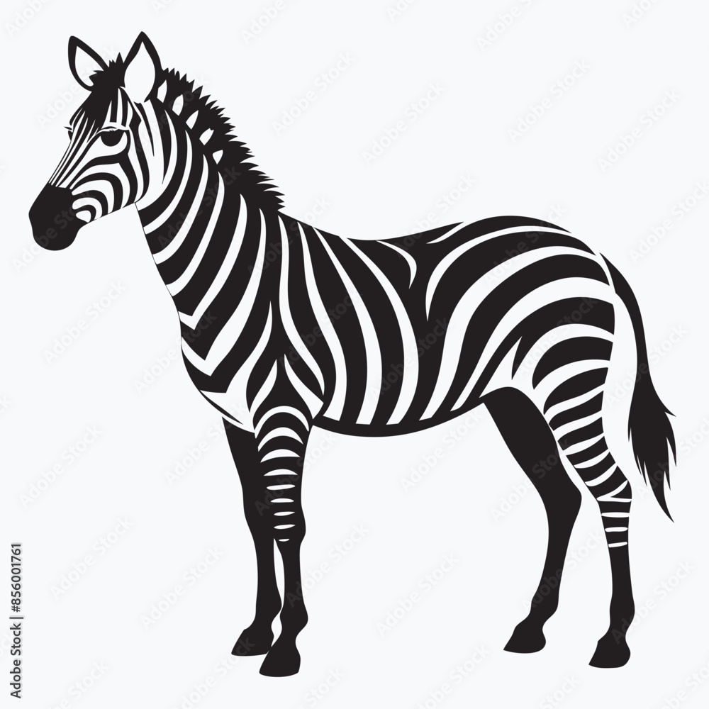 Fototapeta premium zebra vector illustration