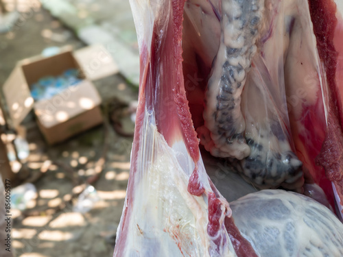 Eid al-Adha celebration. Muslims help each other prepare halal slaughtered meat to be distributed to the community during Eid al-Adha. Feast of Sacrifice or Sacrifice.