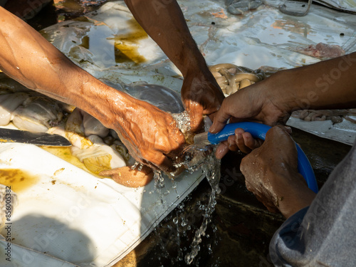 Eid al-Adha celebration. Muslims help each other prepare halal slaughtered meat to be distributed to the community during Eid al-Adha. Feast of Sacrifice or Sacrifice.