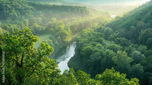 A peaceful forest with lush green trees and a winding river cutting through the landscape.