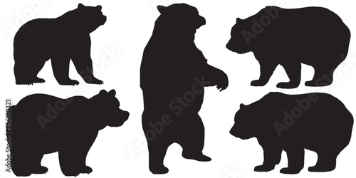 Photography silhouettes of bears