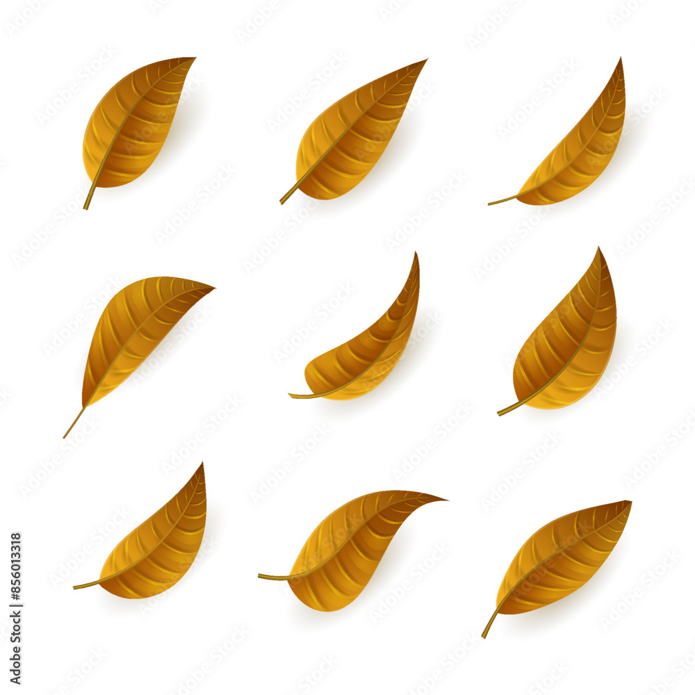 Obraz premium Realistic Leaves Set Premium Vector