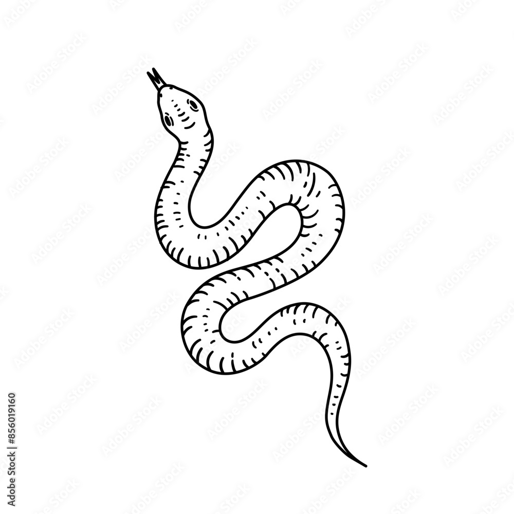 Fototapeta premium Snake in line style. Hand drawn vector illustration.