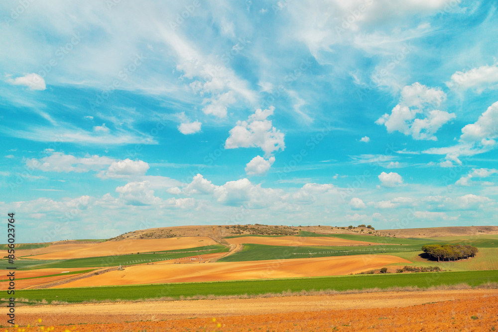 © vvvita - Beautiful rural landscape. Countryside on a sunny day. Farmland in spring with beautiful sky