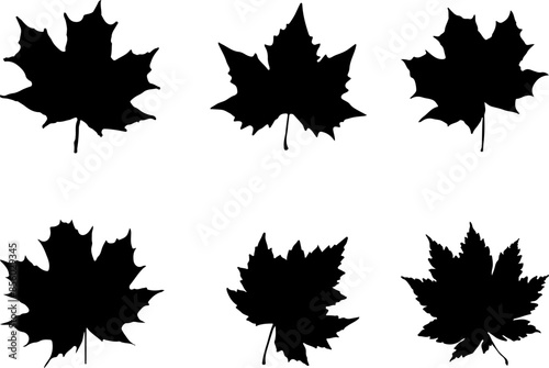 Icon set about maple leaf, leaves. Icons, flat vector illustrations, isolated on white, transparent background. Ecology environment concept