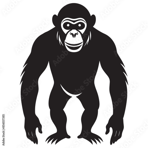 gorilla illustration mascot photo