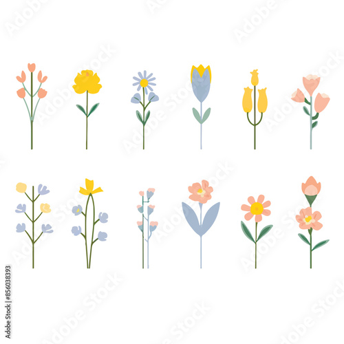 A delightful collection of floral illustrations showcasing a variety of colorful flowers in a modern, minimalist style. Ideal for spring and summer designs, seasonal celebrations, and festive decorati