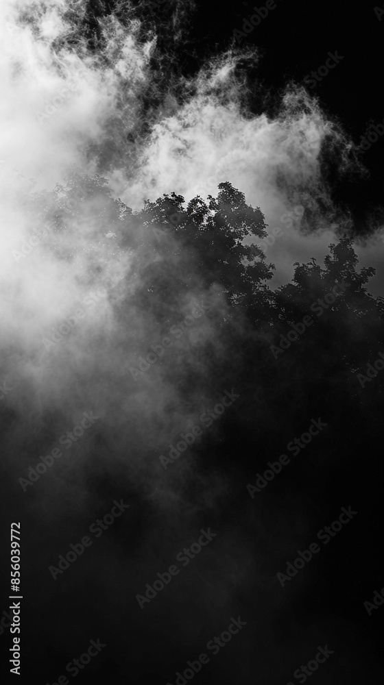 Fog in the darkness, black background wallpaper for phone Fog in the darkness, black background wallpaper for phone
