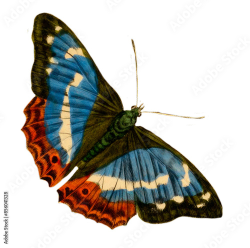 Canvas Print Vintage Illustration Of A Butterfly With Transparent Background, Blue And Red Bu