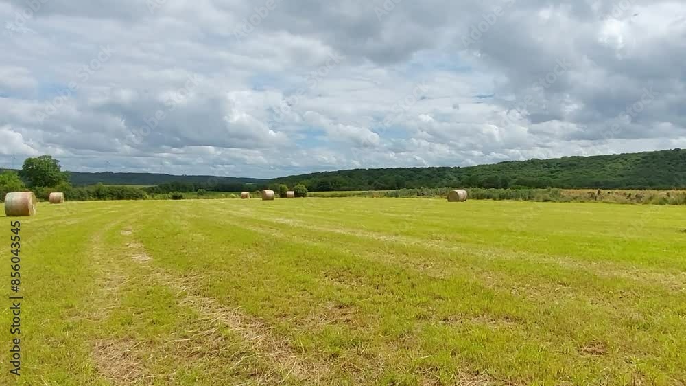 Field with mown grass