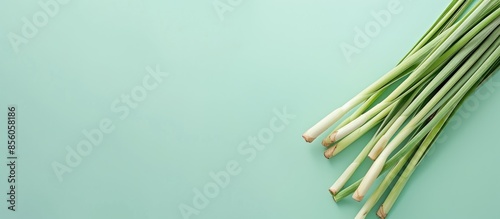 lemongrass Isolated on past...