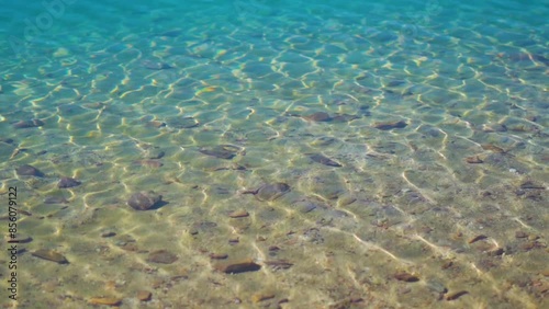 Slow motion shot of water ripples on the Chandra Taal Lake near Kunzum Pass in Spiti Valley, Himachal Pradesh, India. Water ripples on the blue water of Chandra Tal lake due to the strong winds.  photo