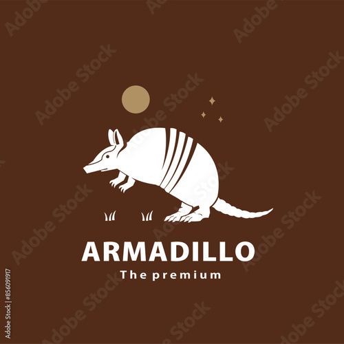 vintage retro hipster armadillo logo vector outline silhouette art icon	
