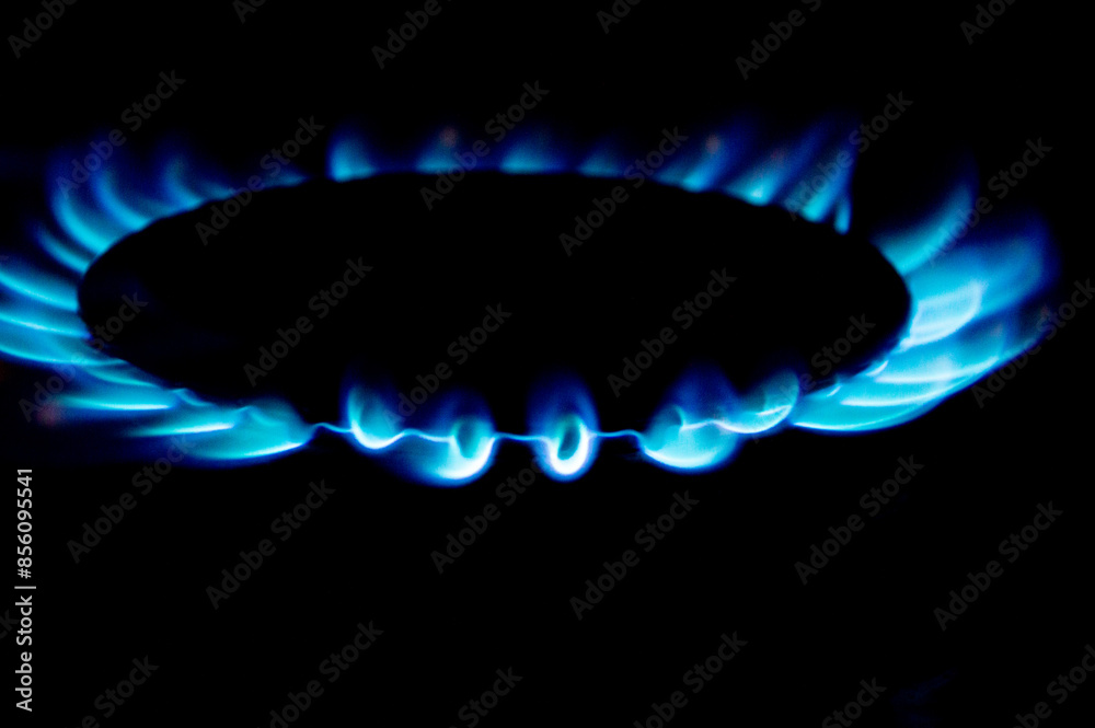 gas stove burner flame gas stove burner flame