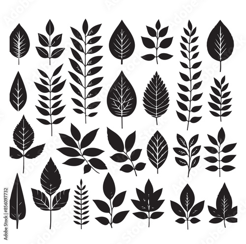 Leaf collection - vector silhouette
