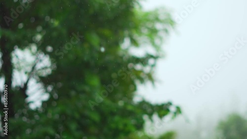 Closeup shot of rainfall in front of trees of the forest during the monsoon season in Sahyadri hills at Saputara in Gujarat, India. Closeup shot of rain falling in the forest during rainy season. photo