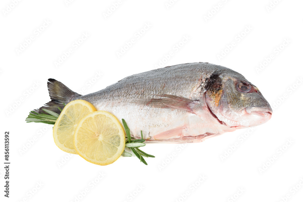 Rosemary sprigs with lemon circles and dorade fish on white background. Rosemary sprigs with lemon circles and dorade fish on white background.
