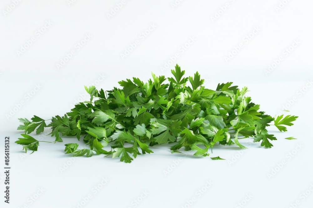 Fresh parsley leaves arranged on a clean white background Fresh parsley leaves arranged on a clean white background