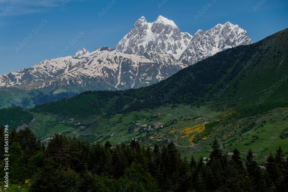 landscape in the mountains