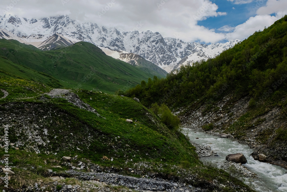 mountain river in the mountains