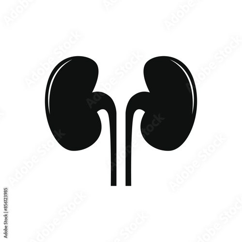 kidney icon vector design silhouette style