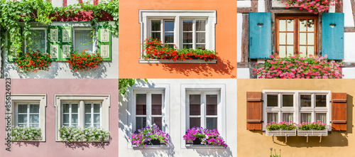 Poster als Collage mit verschiedenen Blumenfenstern