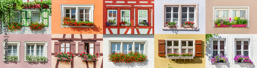 Poster als Collage mit verschiedenen Blumenfenstern