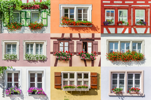 Poster als Collage mit verschiedenen Blumenfenstern