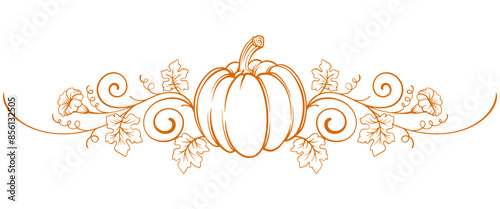 Pumpkin line art style vector illustration