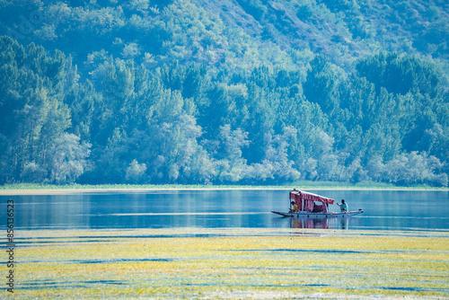 A boat peacefully floats on a serene lake, surrounded by trees, lake Wular, Kashmir, India