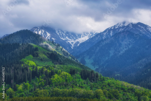 Panorama of spring mountains covered with forest with fresh greenery and snow on the peaks. Soldiers Gorge in Almaty, Kazakhstan in the Tien Shan mountains