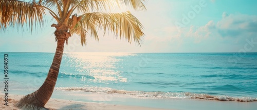 concept of relaxation on the ocean shore, white sand and palm leaves.