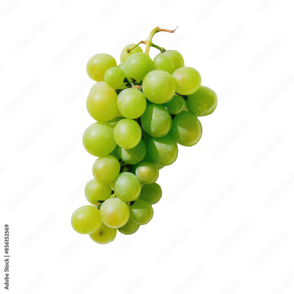 Green grapes on transparent or white background Green grapes on transparent or white background