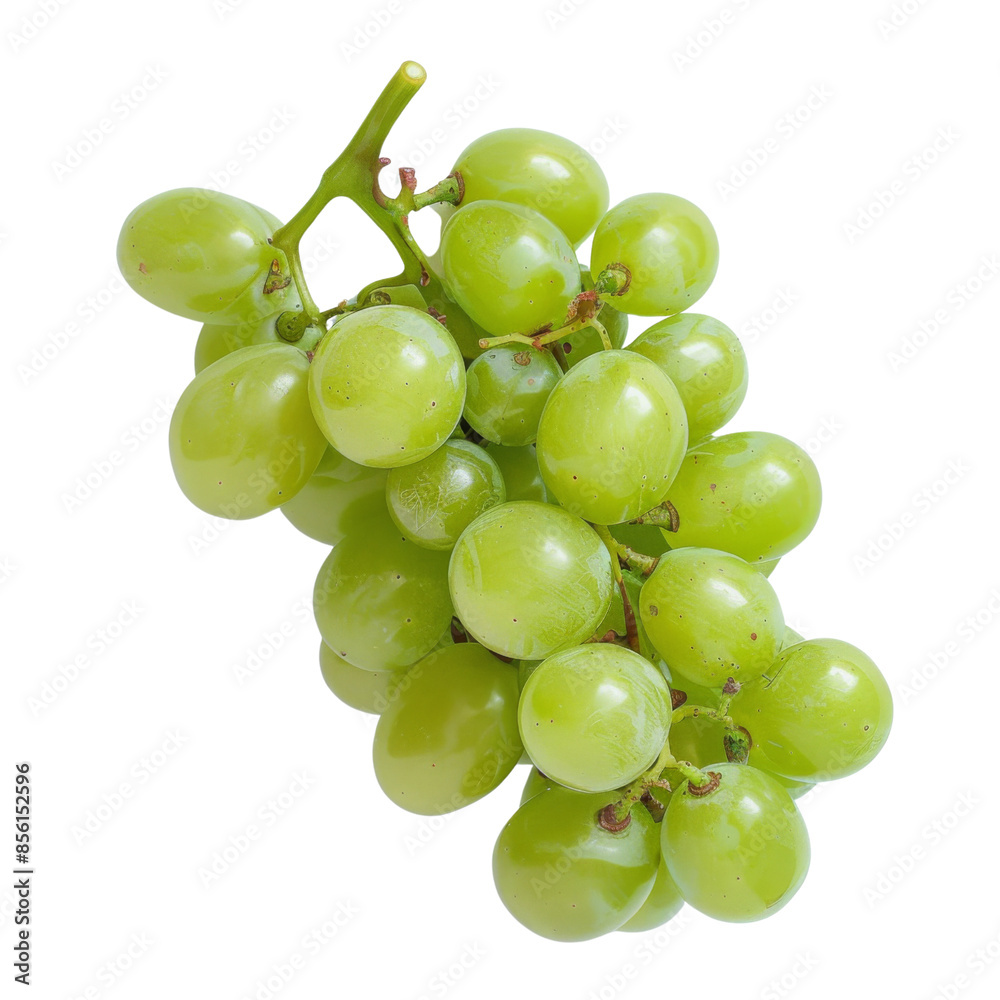 Green grapes on transparent or white background Green grapes on transparent or white background