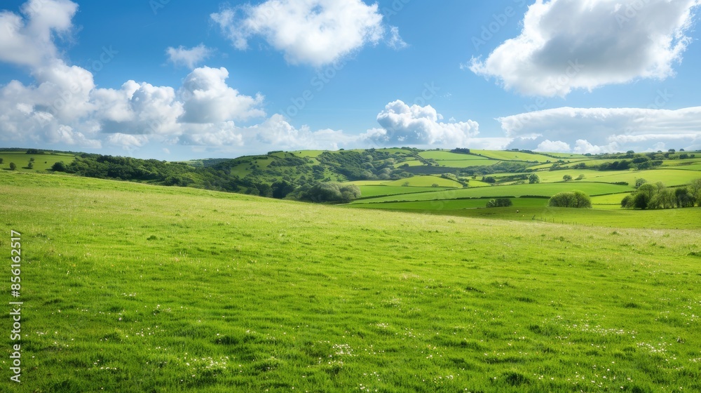 Cows graze peacefully in a lush green pasture under a bright blue sky. The rolling hills and abundant greenery create a scenic landscape. Cows graze peacefully in a lush green pasture under a bright blue sky. The rolling hills and abundant greenery create a scenic landscape.