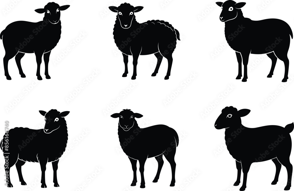 white and black sheep animals doodle white and black sheep animals doodle